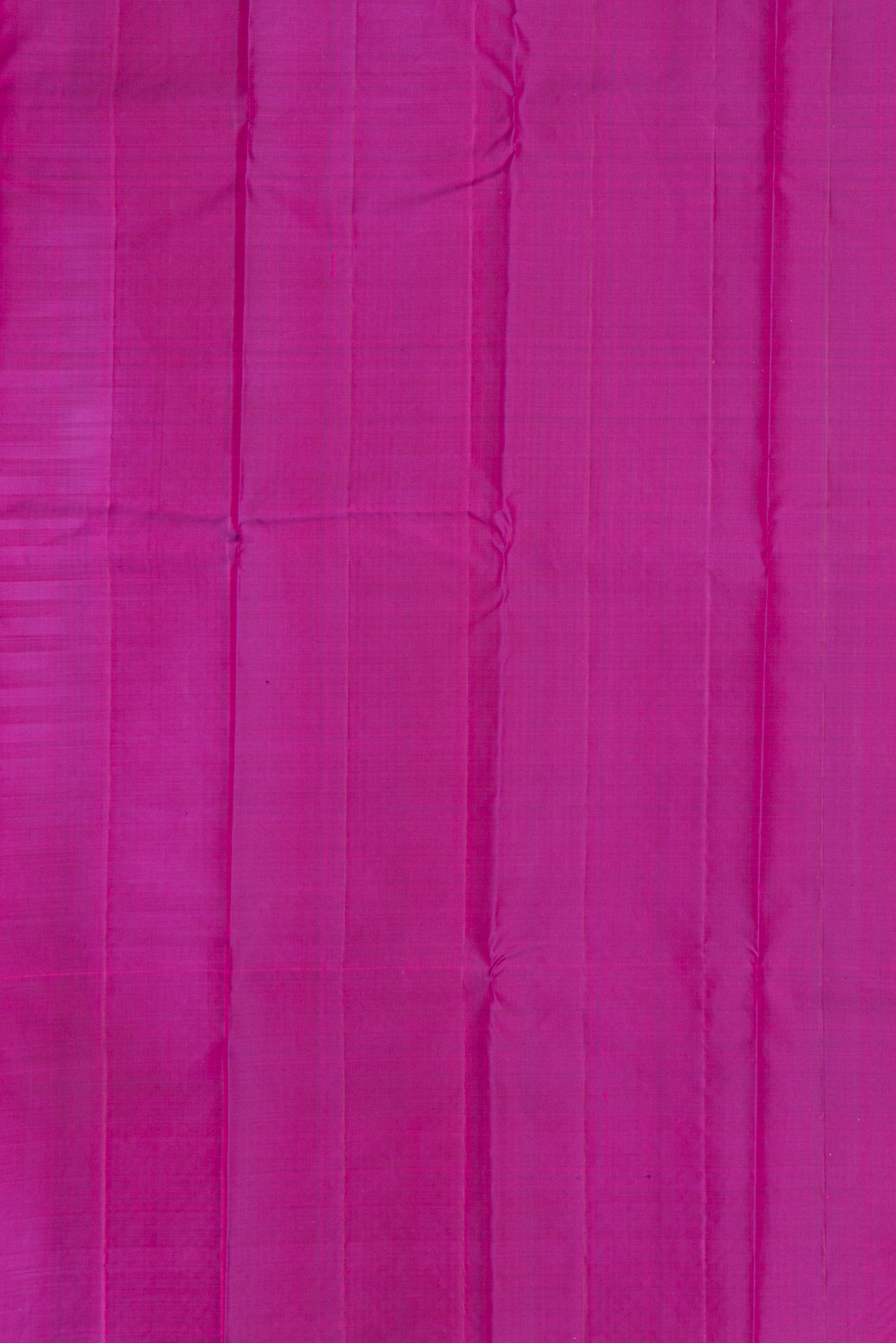 Elegant Borderless Kanjeevaram Saree