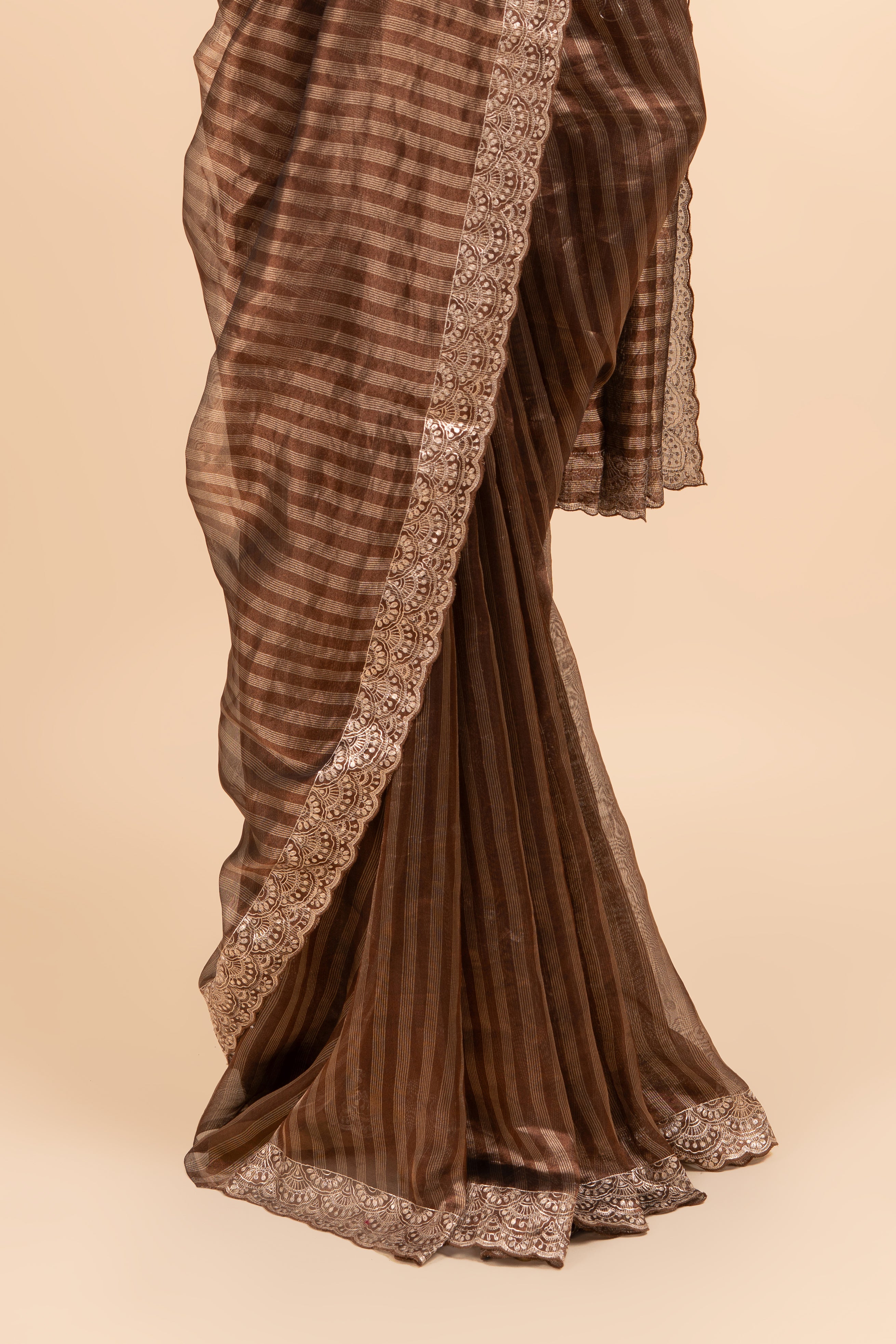 Brown Tissue Pitta Work Saree