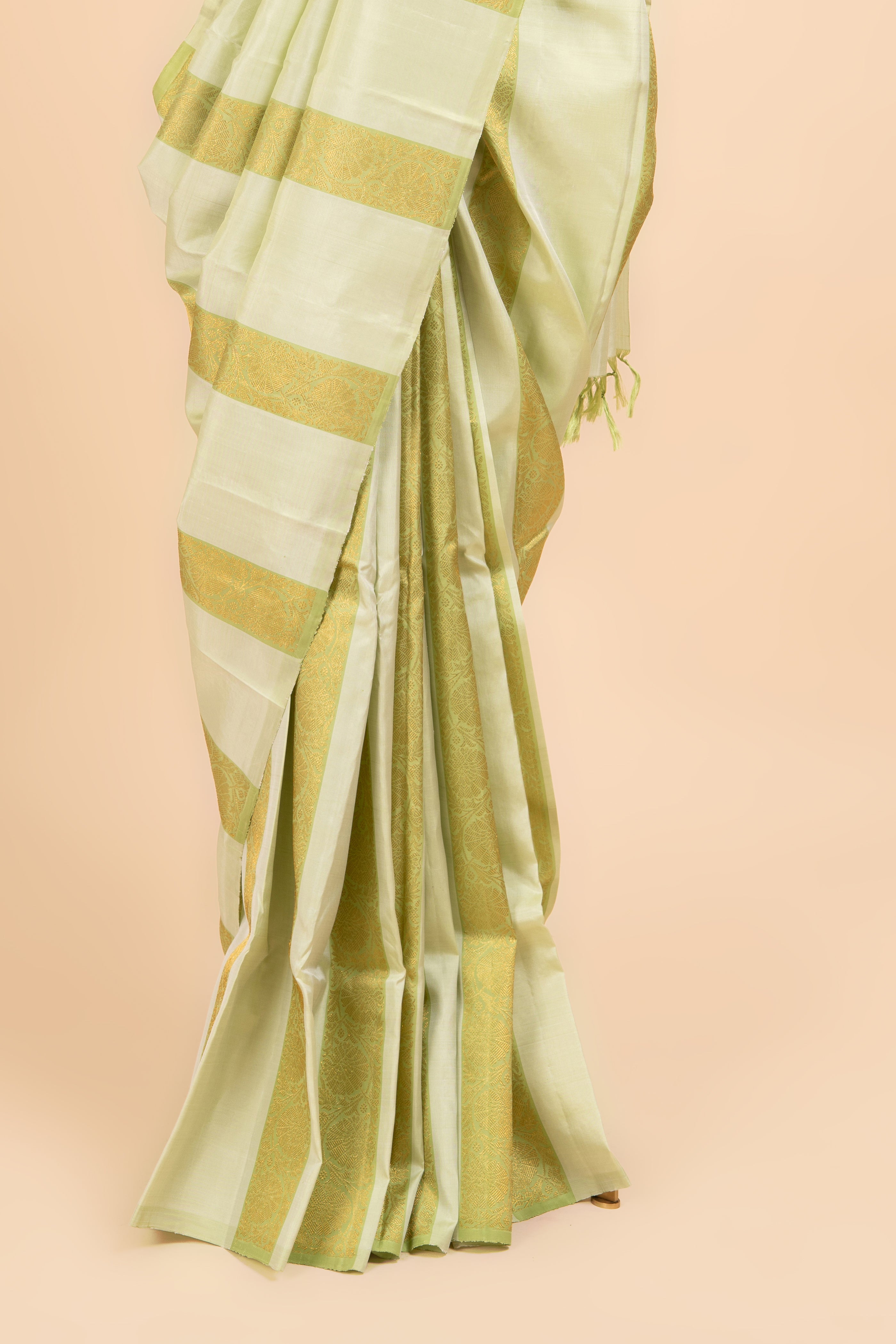 Modern Borderless Kanjeevaram