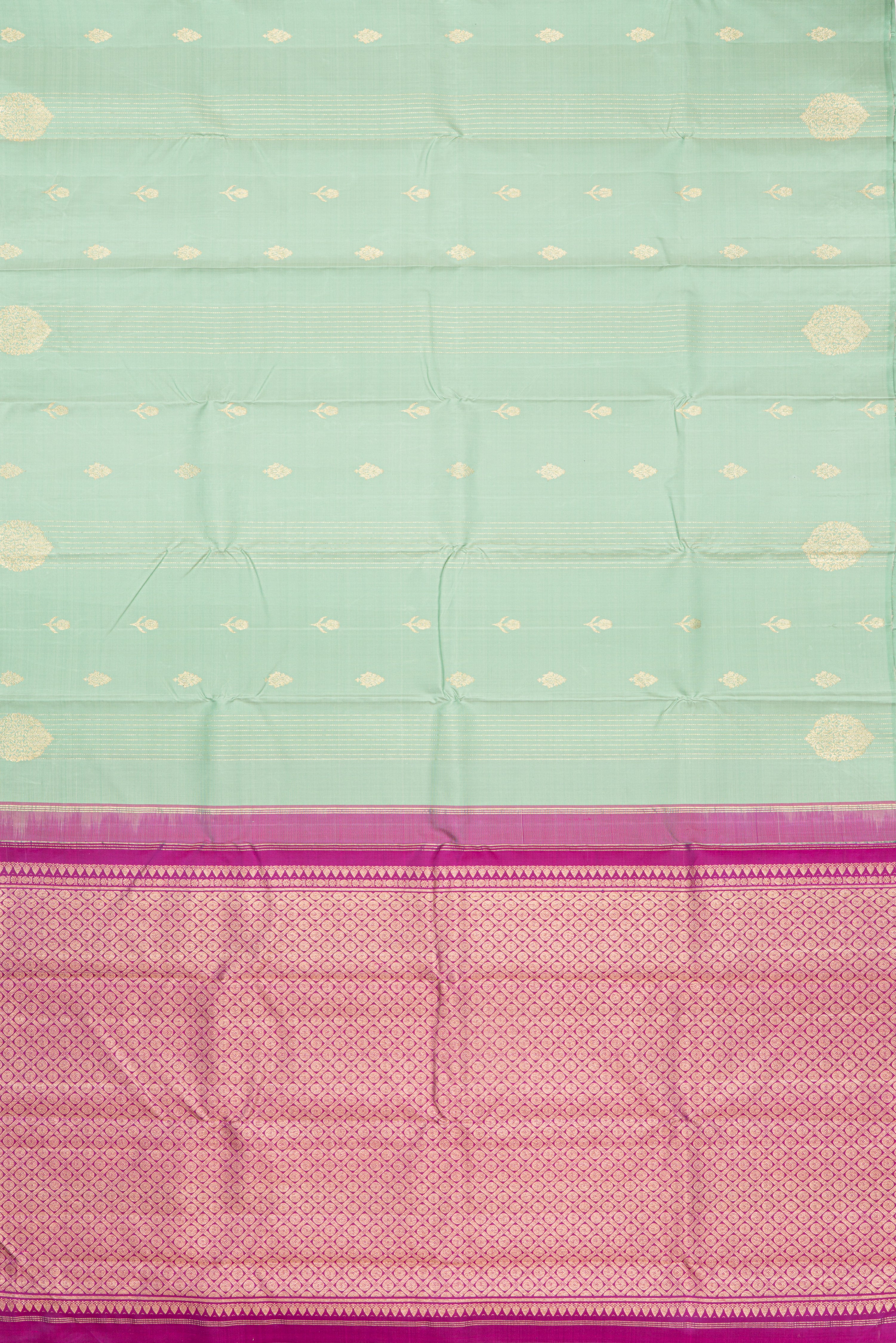 Elegant Borderless Kanjeevaram Saree