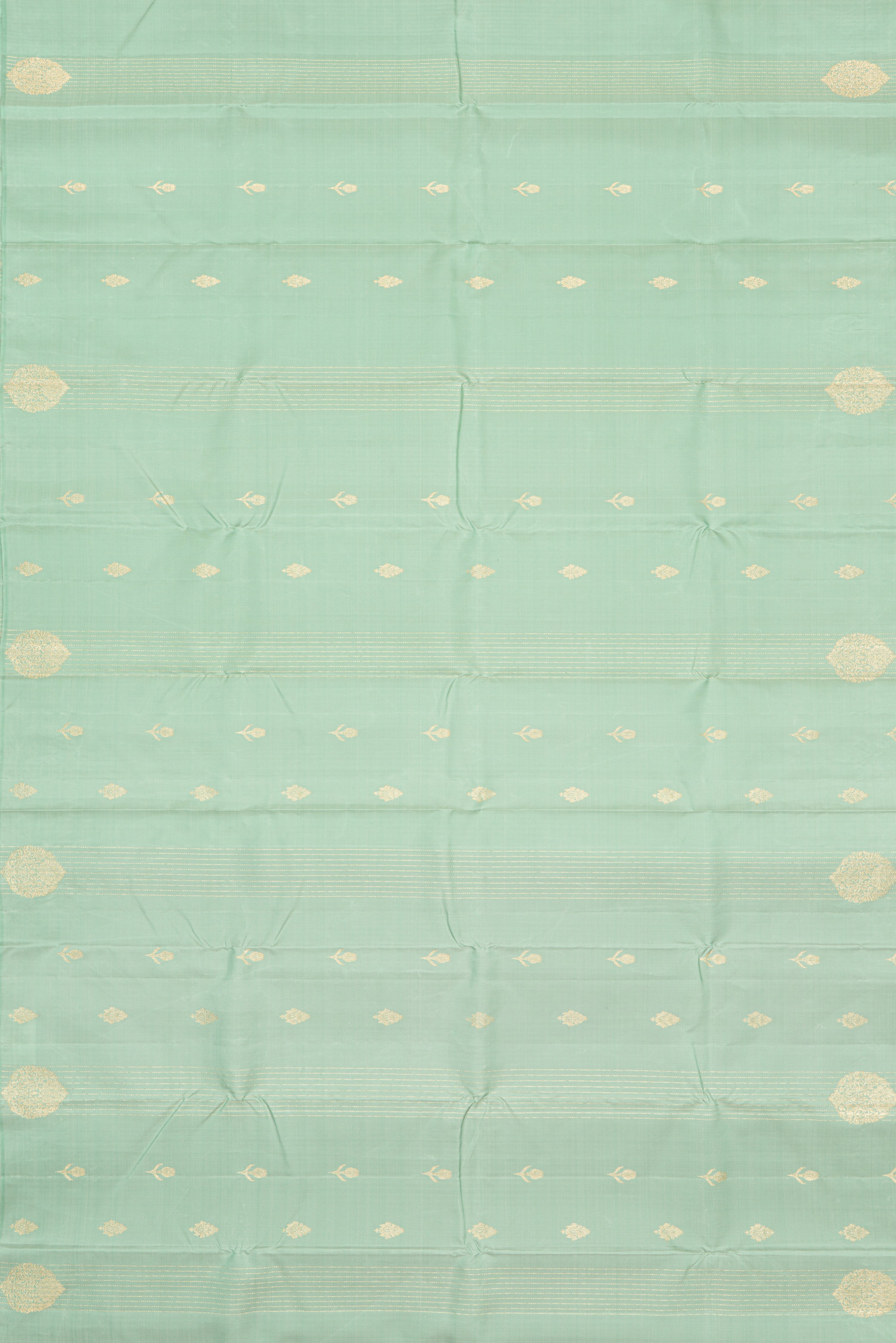 Elegant Borderless Kanjeevaram Saree