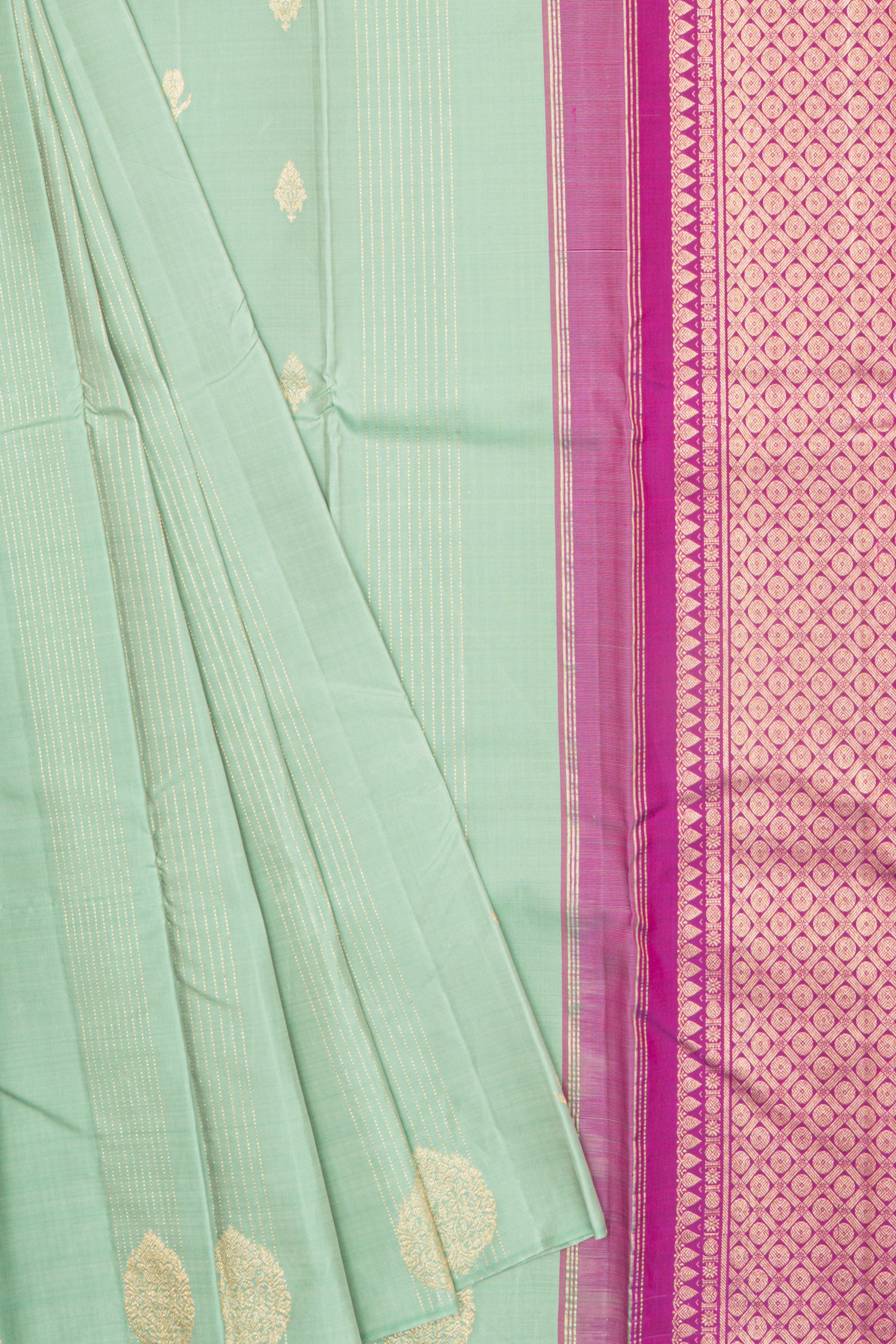 Elegant Borderless Kanjeevaram Saree